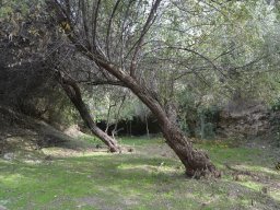 Imágenes de Borox